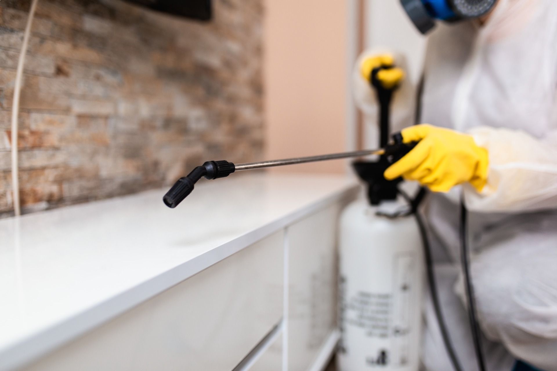 Técnico fumiga un mueble de una casa