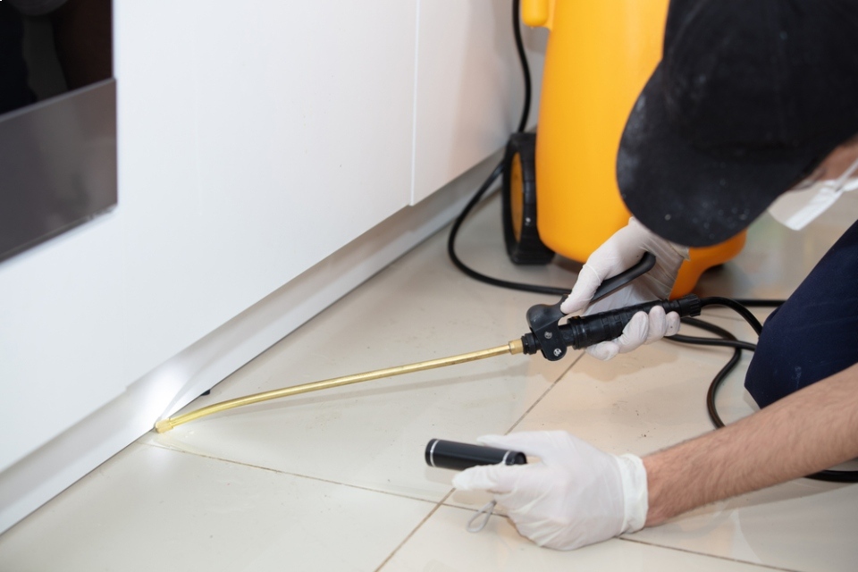 Técnico fumiga los bajos de un mueble ayudado por una linterna