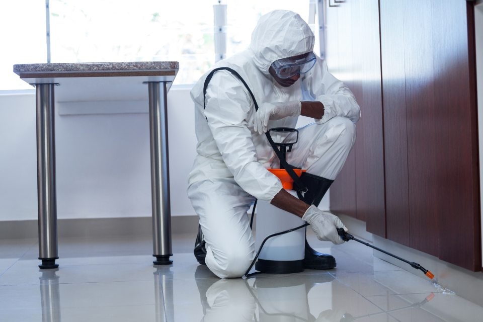 Técnico en traje aislante de seguridad fumigando el interior de una oficina