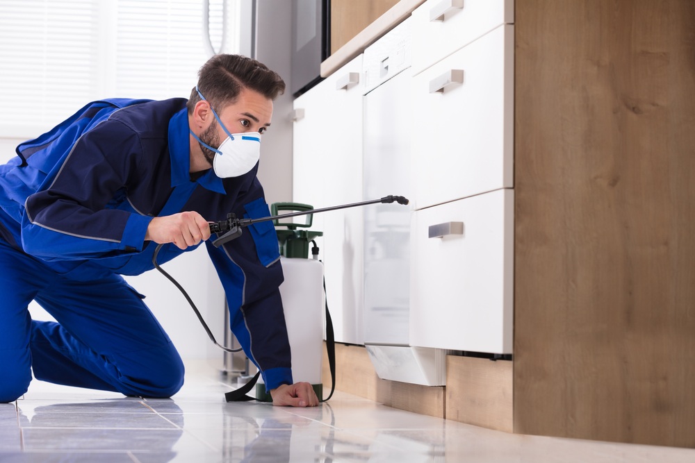 Técnico en traje aislante de seguridad fumigando muebles de una cocina