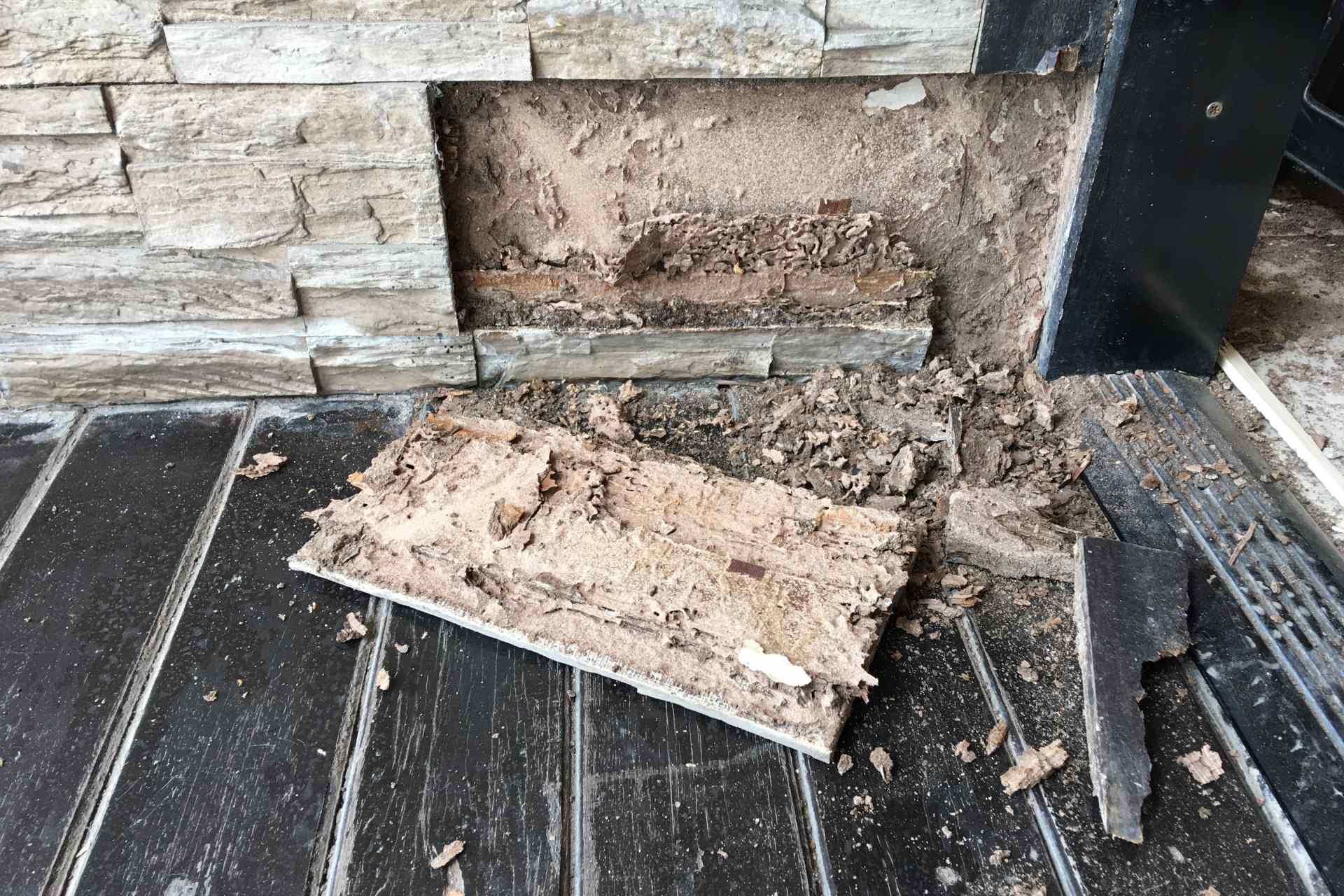 Placa de madera de una pared caída